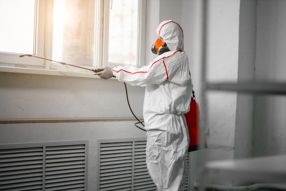Professional mold remediation services in Speonk, NY
